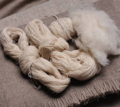 Fiber